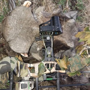 Bow sight rangefinder 