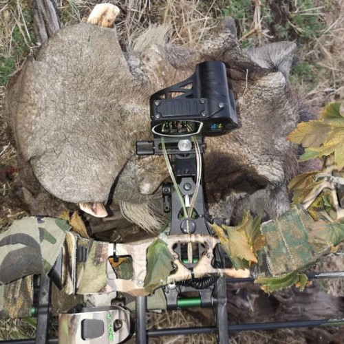 Bow sight rangefinder